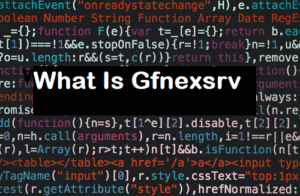What Is Gfnexsrv